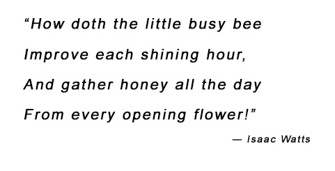 quote about bees