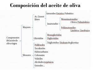 esquema de la composición del aceite de oliva virgen extra
