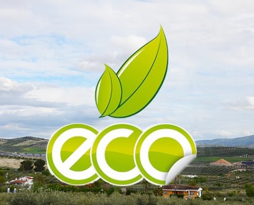 Nachhaltigkeit in den Felder von Oliven-Baume