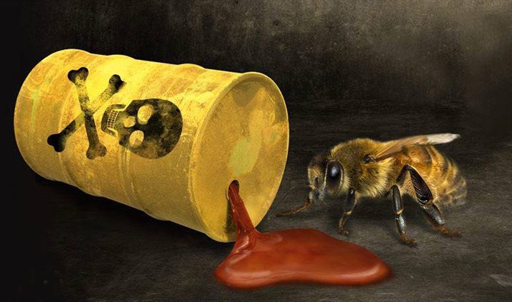 matando a las abejas