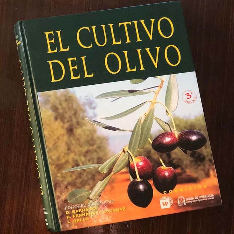 borde satisfacción matar Libros sobre el olivo y el aceite de oliva ▷ Cortijuelo de San Benito